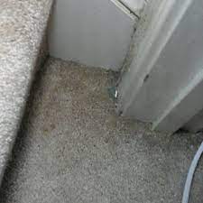 mr pena s carpet cleaning closed