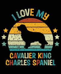 funny cavalier king charles spaniel
