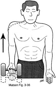 home exercises for the weak shoulder