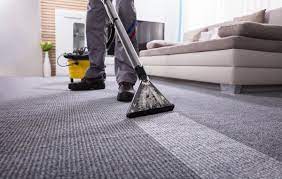 our services indiana carpet cleaning pro