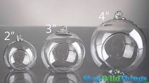 50 Glass Sphere Orb Hanging Tealight