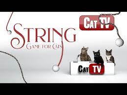 string game for cats to watch