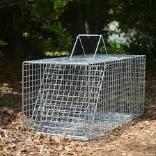 This is the new ebay. Cat Trap Csd310 Professional Trapping Supplies