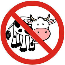 Krowie mleko nie od krowy | Przez żołądek do zdrowia