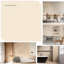 What Colours Go With Dulux Orchid White