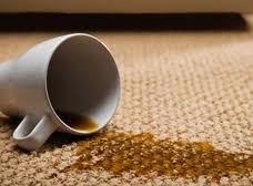 elite carpet cleaning service inc