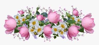 Ready to use pink and white lotus flower image in png format with transparent background. Flores Rosas Rosa Blanco Acuerdo Perfume Jardin Flower Pink White Png Transparent Png Transparent Png Image Pngitem