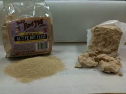active dry yeast vs compressed yeast