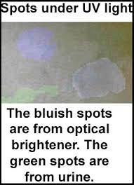optical brighteners in carpet cleaning
