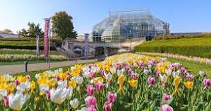 Can I take pictures at Phipps Conservatory?