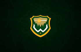 The current status of the logo is active, which means the logo is. Unofficial Athletic Minnesota Wild Rebrand
