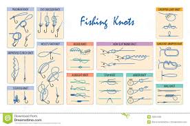 Fishing Knots Stock Vector Illustration Of Chart Still
