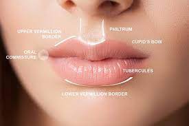 lip fillers and laser lip plumping