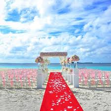 2023 new red carpet wedding long indoor