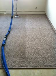 professional carpet cleaning faq