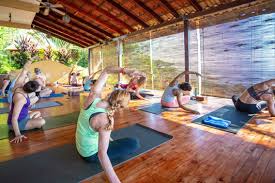 yoga retreats yoga teacher training