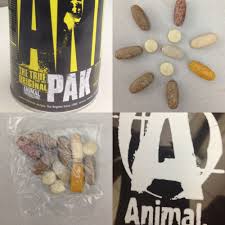Universal Nutrition Makes A Great Multi Vitamin For Gyn Rats