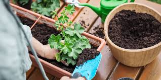 potting soil vs garden soil what s the