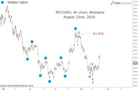 Bitcoin And Bitmex Trading Halt In Elliott Wave Context