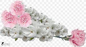 Are you searching for pink flower png images or vector? Floral Design White Flower Bouquet Cut Flowers Png 1600x888px Floral Design Artificial Flower Blossom Cut Flowers