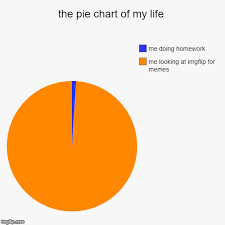 The Pie Chart Of My Life Imgflip