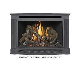 Fireplaces Stoves Wood Gas