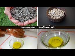 how to make sunflower oil at home you