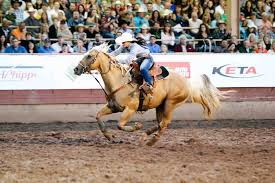 5 Fairs Rodeos Around Colorado That You Cant Miss 303