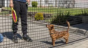 Temporary Dog Fencing Dog Barrier