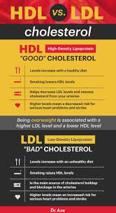 hdl cholesterol how to increase good