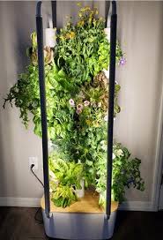 18 best indoor hydroponic grow systems