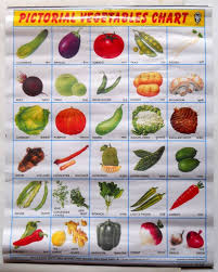 India Vintage School Chart Poster Print Pictorial Vegetables