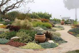 10 Tips For Landscape Design In Dry