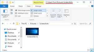take screenshot with snipping tool