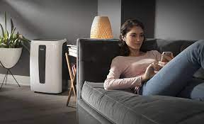 Best Dehumidifiers For Your Home The