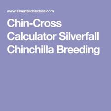 Chin Cross Calculator Silverfall Chinchilla Breeding