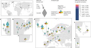 human genetic architecture of covid 19