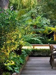 Tropical Garden Designs Modern Exotic