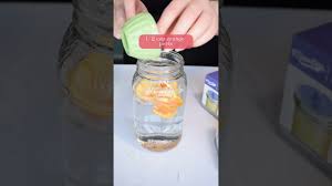 homemade citrus enzyme cleaner shorts