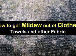 get mildew out of clothes