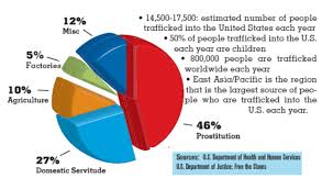 Human Trafficking Pie Chart Simcenter