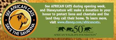The filming that took place was so. African Cats Disney Movie Save The Savanna Serengeti Conservation