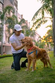 top dog walking services in bangalore