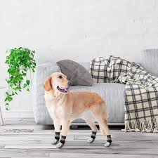 beautyzoo dog socks to prevent licking