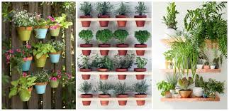 9 best vertical garden ideas easy