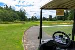 Beautiful Northwest golf - Picture of Loomis Trail Golf Club ...