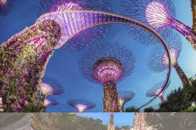 Gardens By The Bay Admission E Ticket