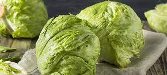 iceberg lettuce nutrition benefits