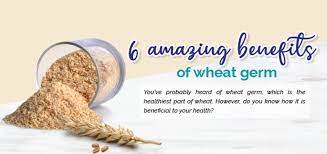 amazing benefits of wheat germ