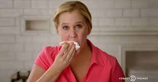 inside amy schumer you don t